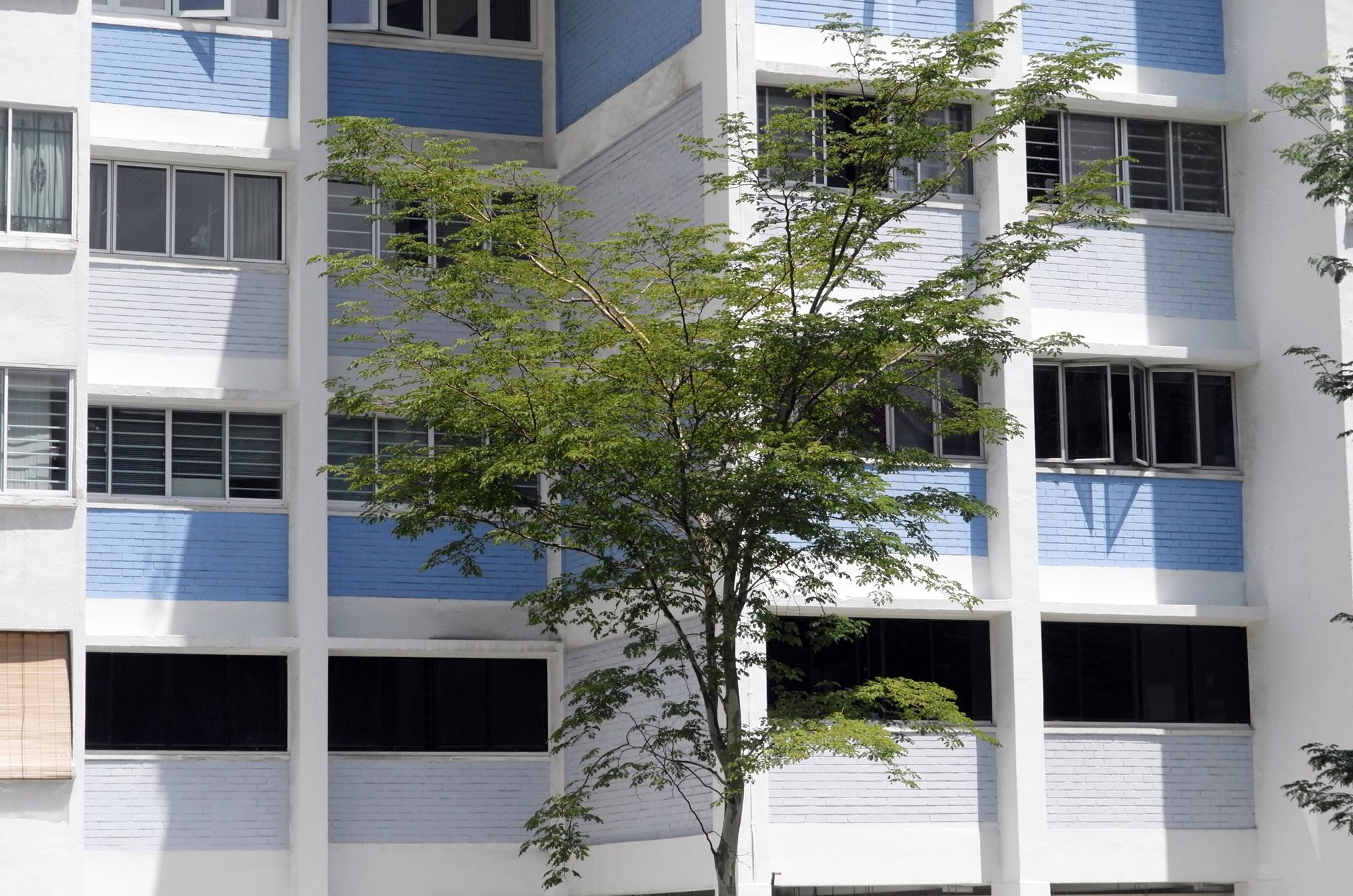 Holland Hill Terrace in Holland, Singapore — Landed for sale