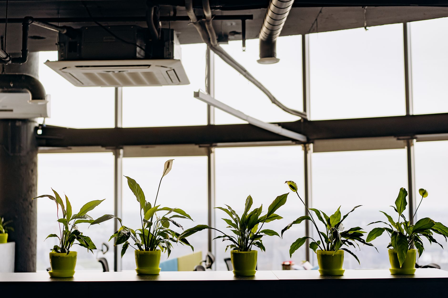 Sustainability reporting for SMEs: what buyers now expect