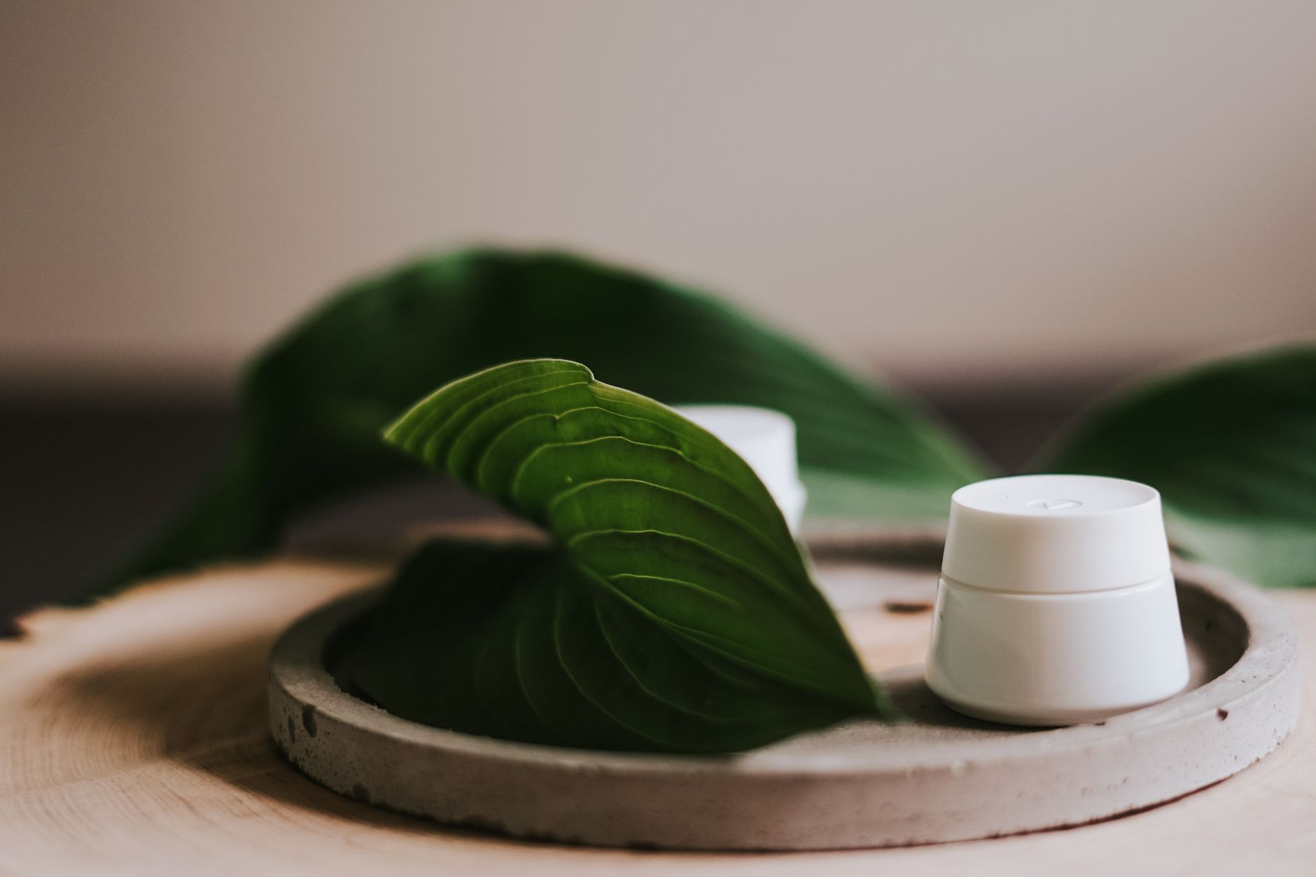 Natural botanical skincare ingredients