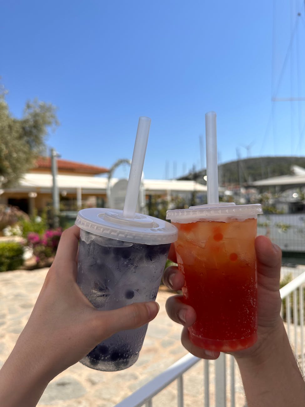 Strawberry Fruit Tea