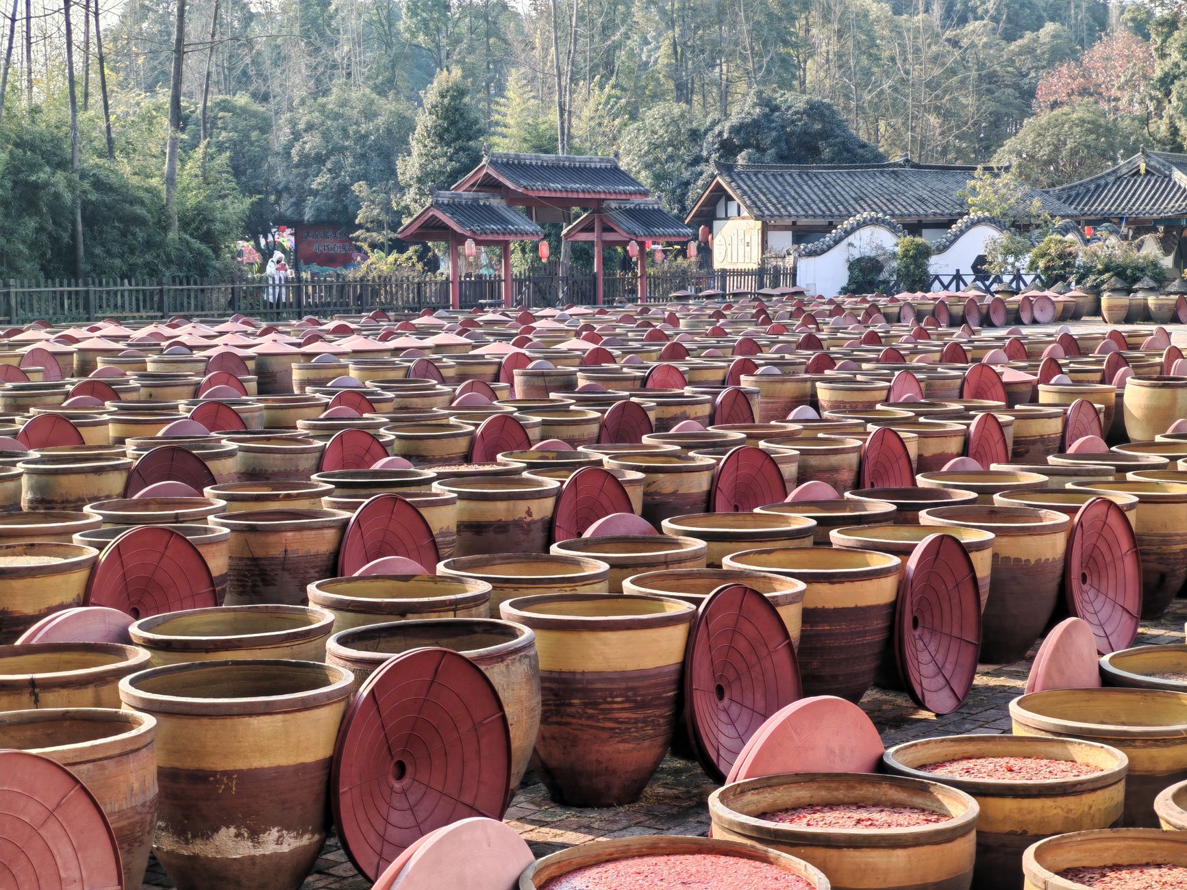 Boochly fermentation tanks in the Serangoon Gardens fermentary