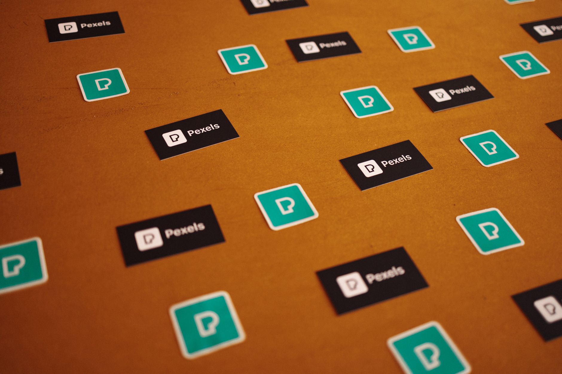 Logo & Visual Identity
