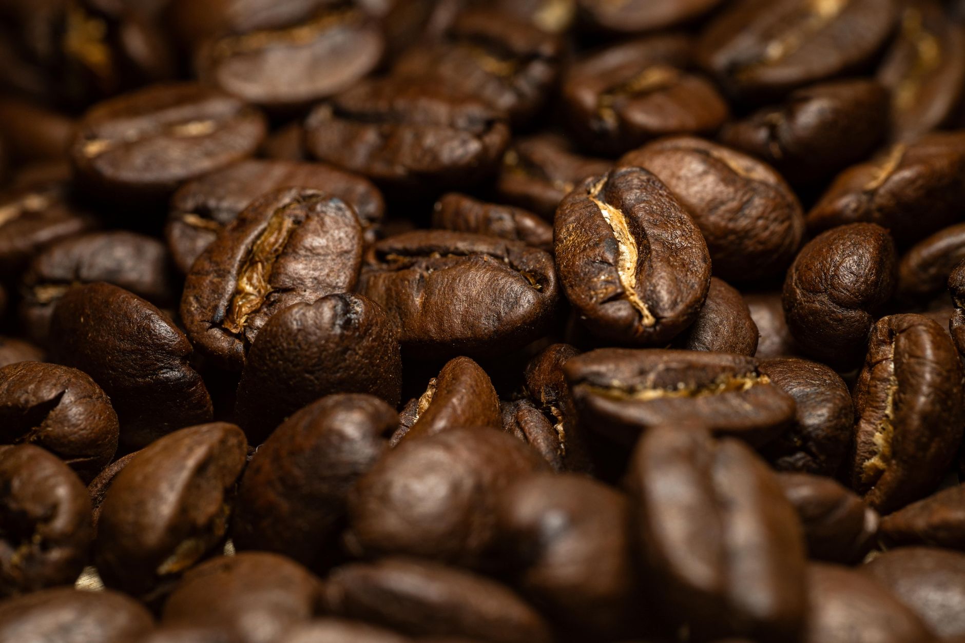 Single-Origin