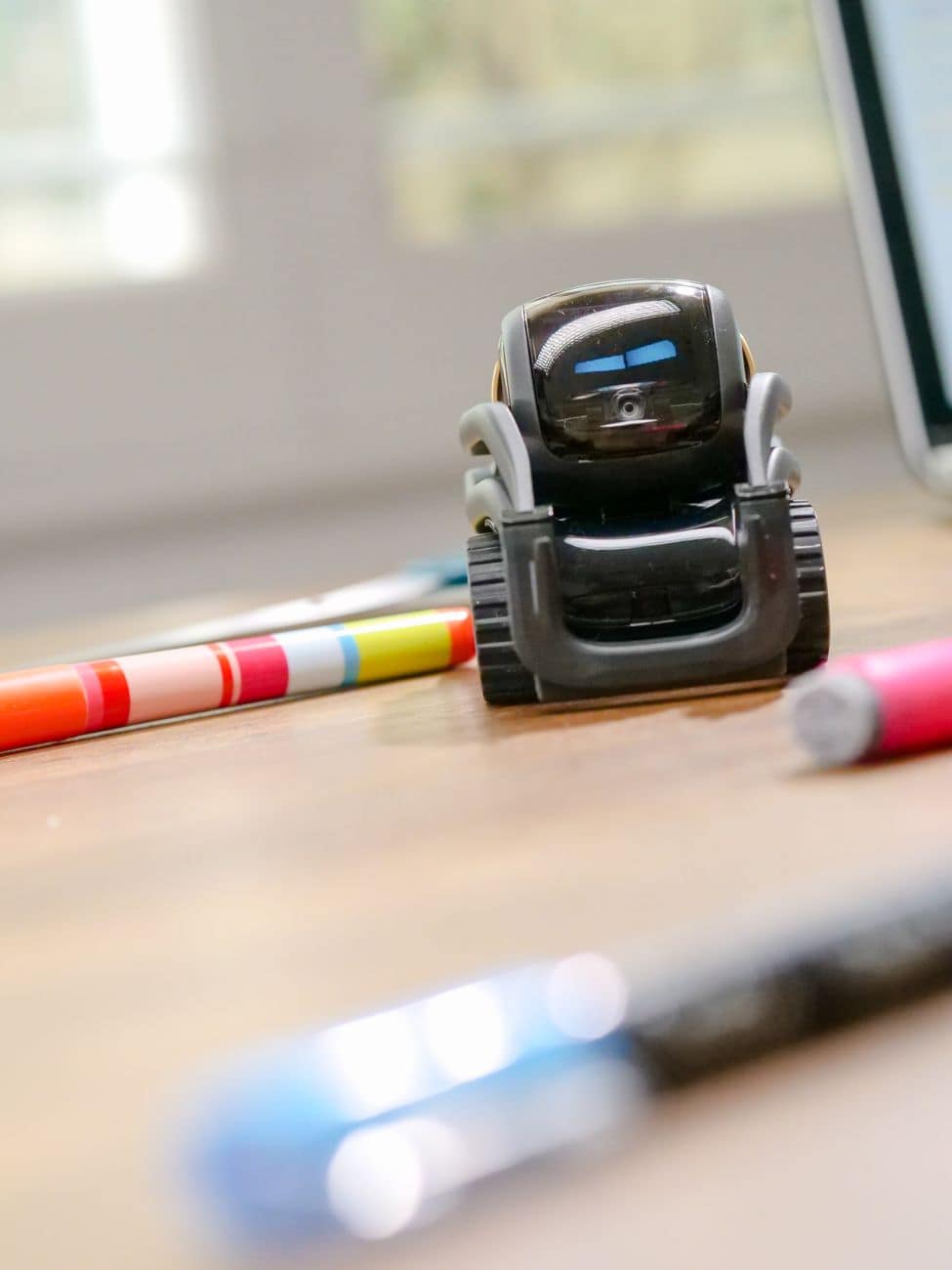CodeBot Junior Screen-Free Coding Robot