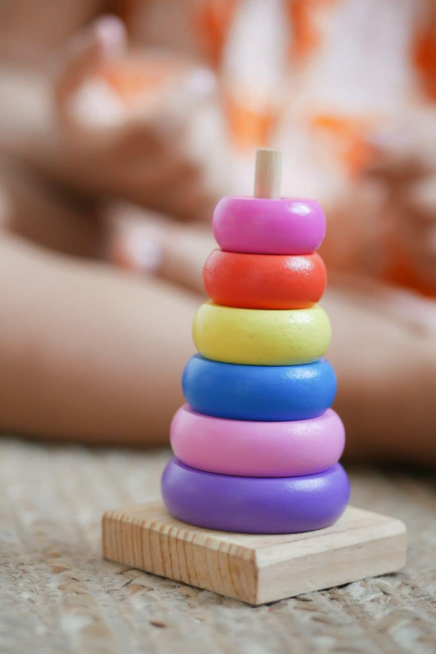 Woodland Stacking & Sorting Set