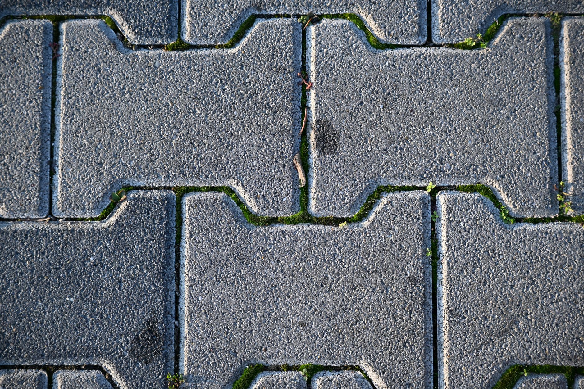 Landscape Construction in Singapore — Fernway Landscapes