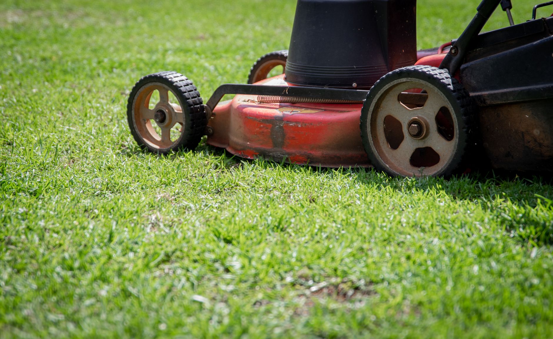 Grass Cutting & Turfing in Singapore — Fernway Landscapes