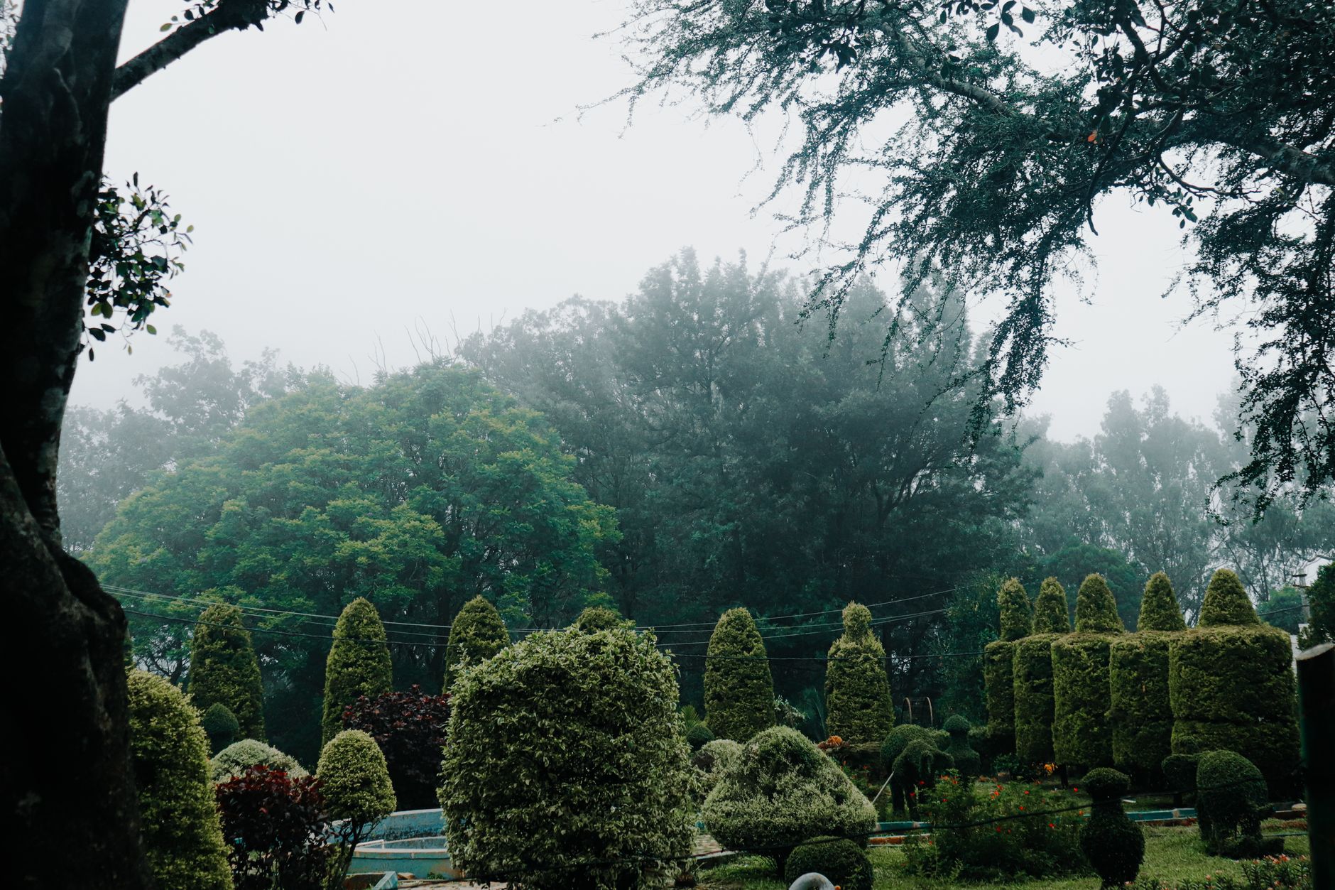 A lush, beautifully landscaped Singapore garden by Fernway