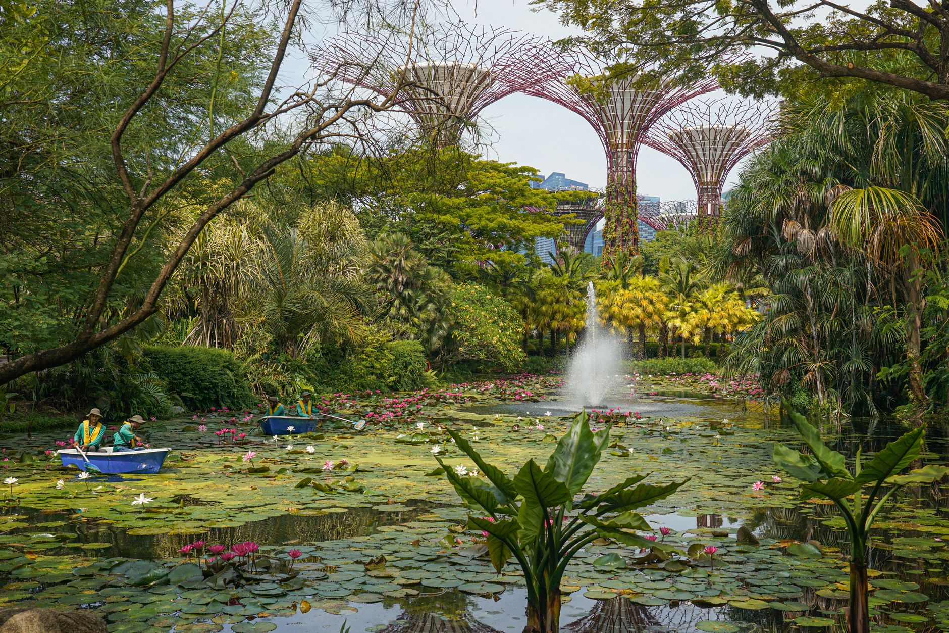 A Fernway landscaping project in Singapore