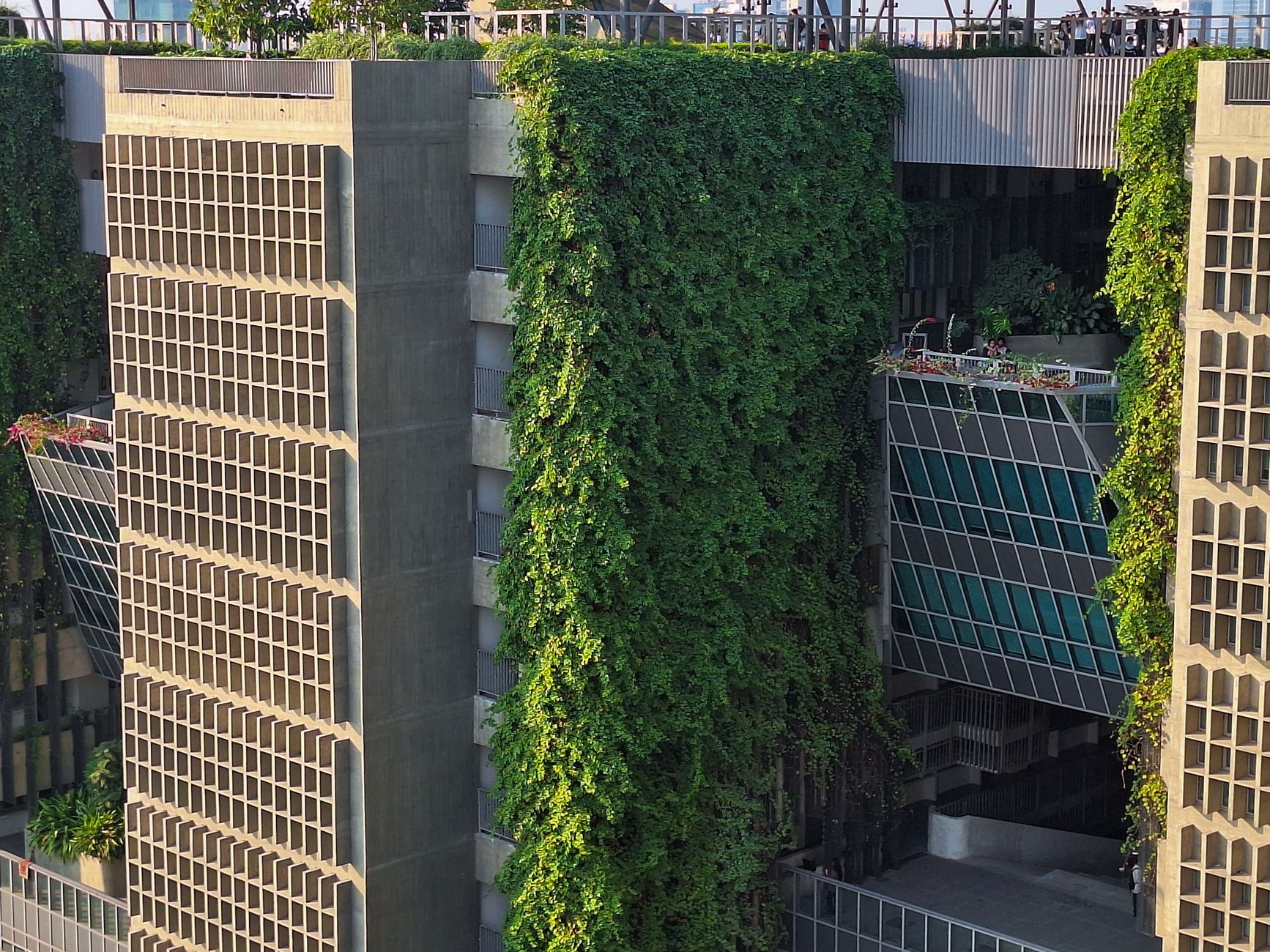 Vertical Greenery & Green Walls in Singapore — Fernway Landscapes