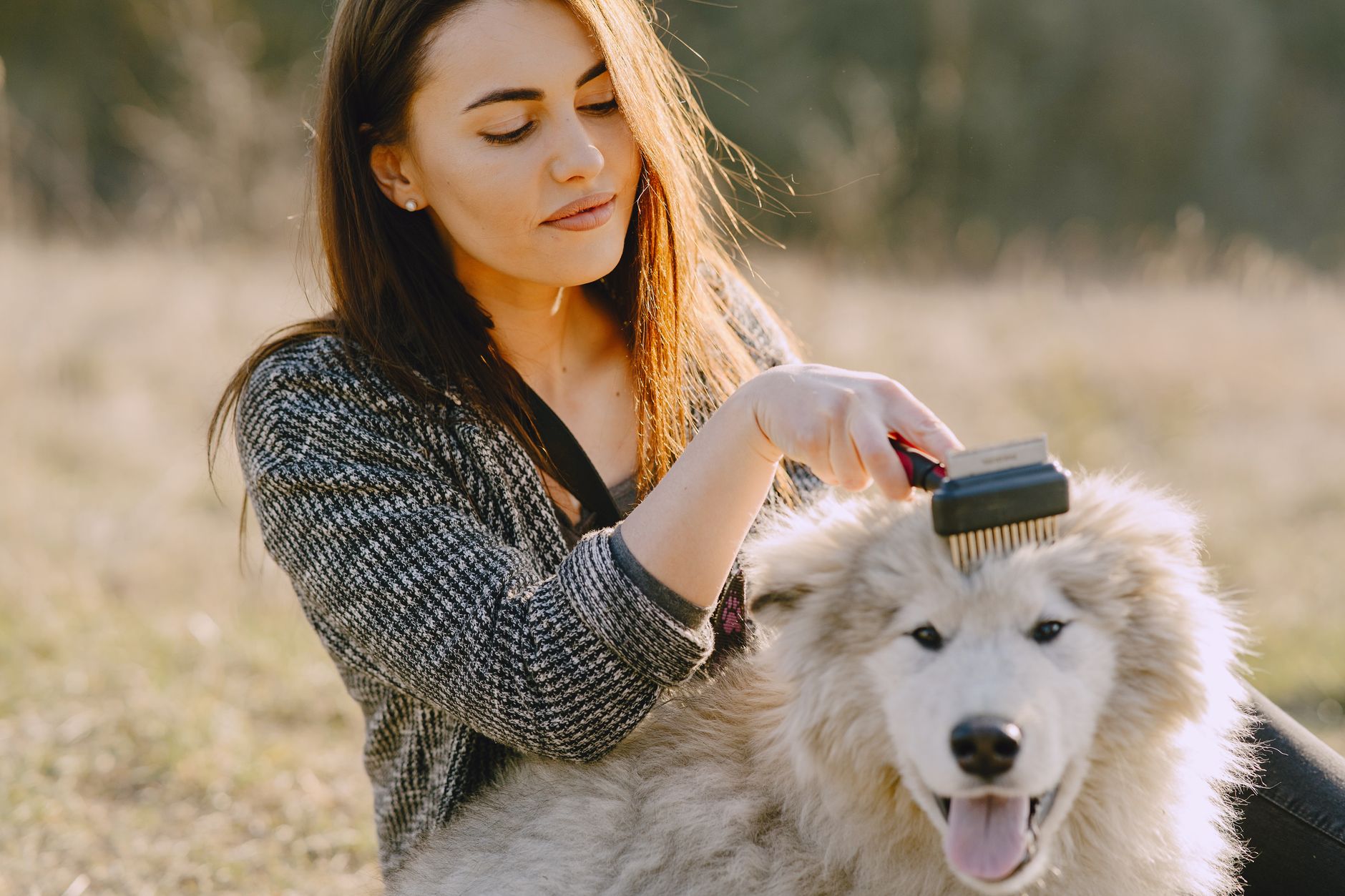 De-Shedding