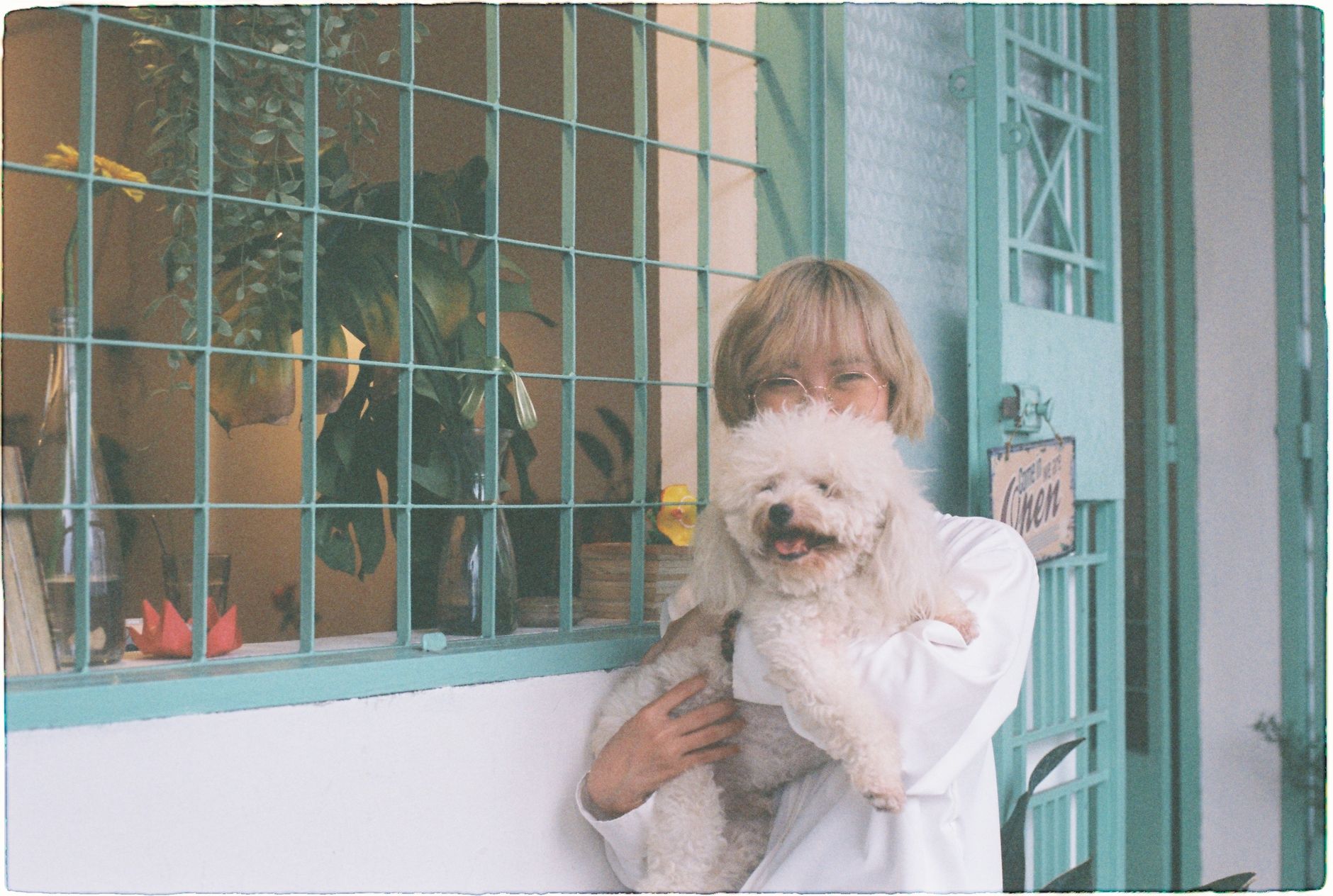 Arrival at the Pawloft pet hotel in Singapore