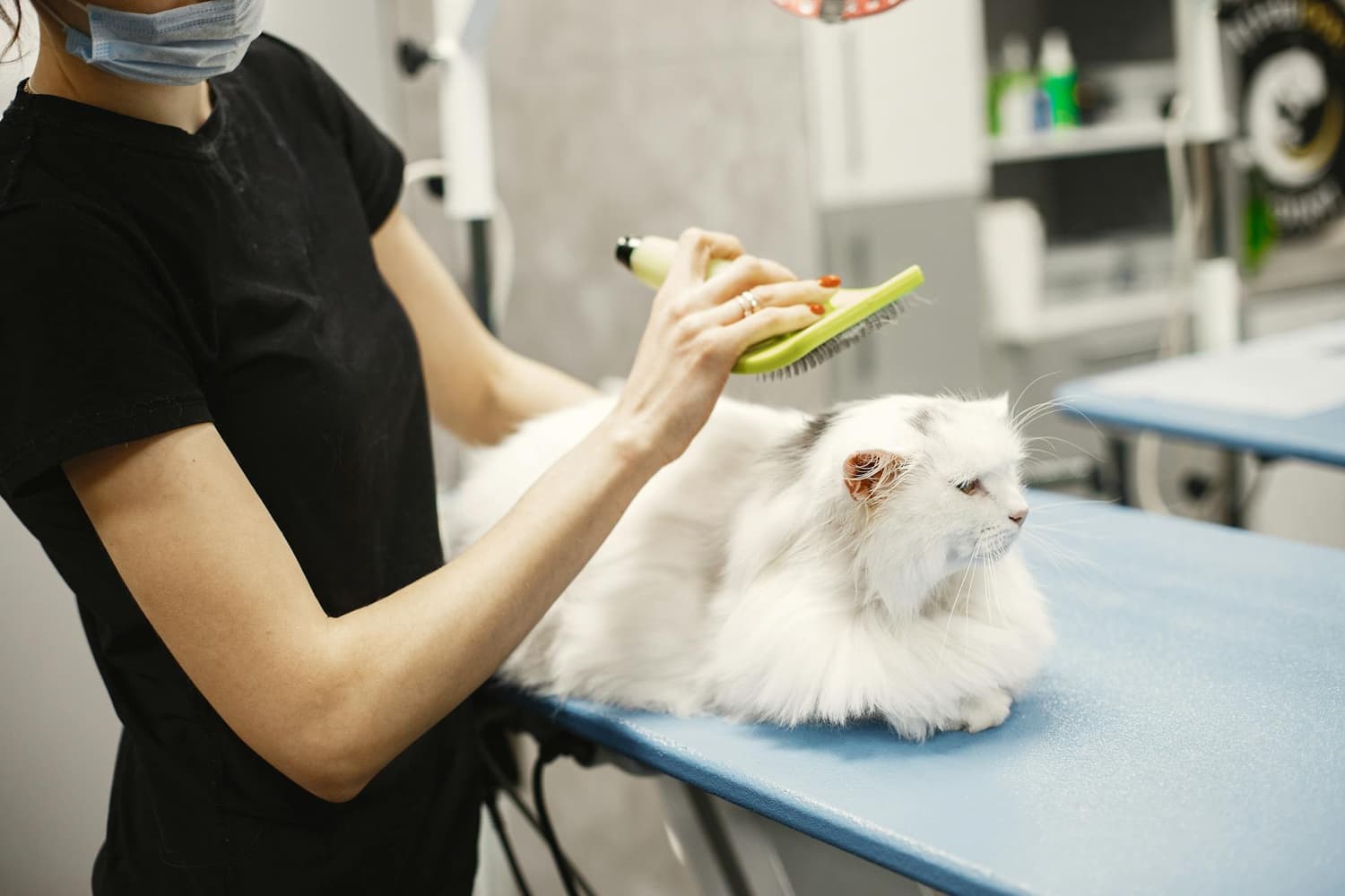 Pawsh groomer with pets