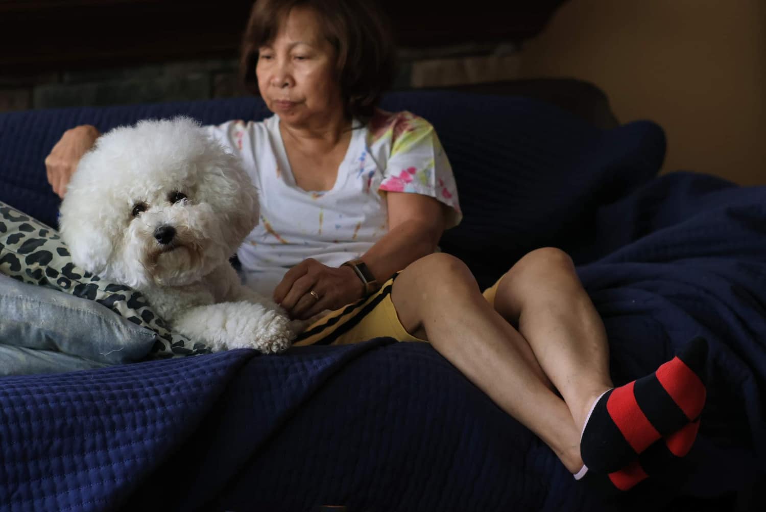 Pet owner with their dog