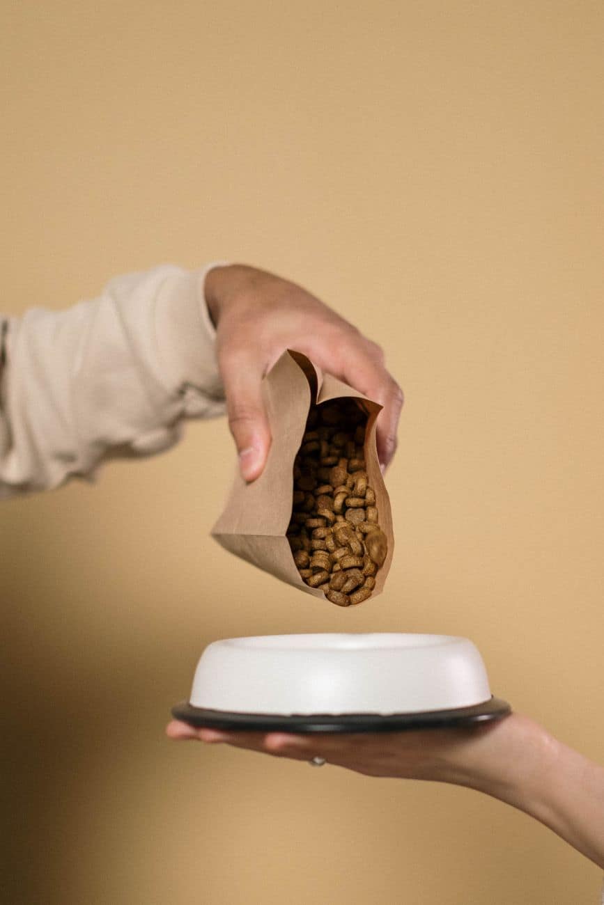 Grain-Free Adult Dog Kibble