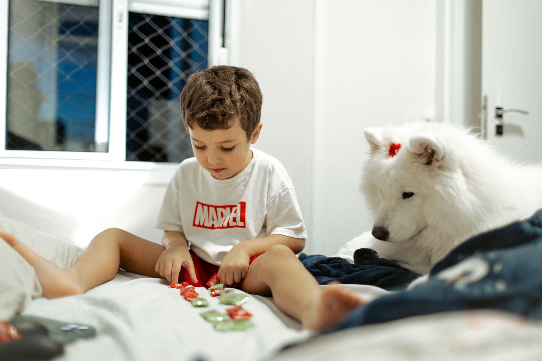 Enrichment & Brain Games at Romp & Roam — a Singapore dog daycare