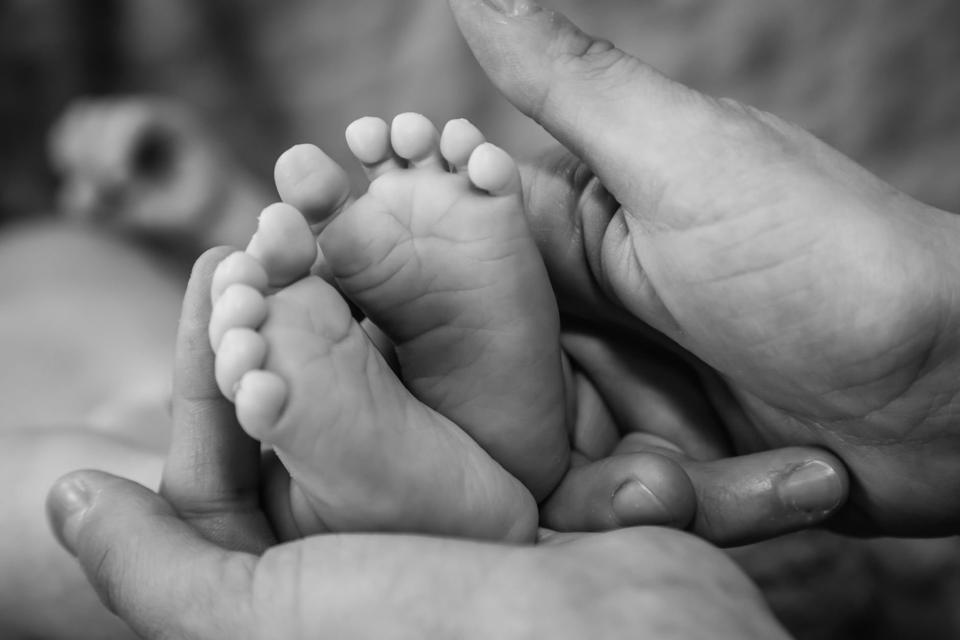 A parent's hands cradling a baby's feet