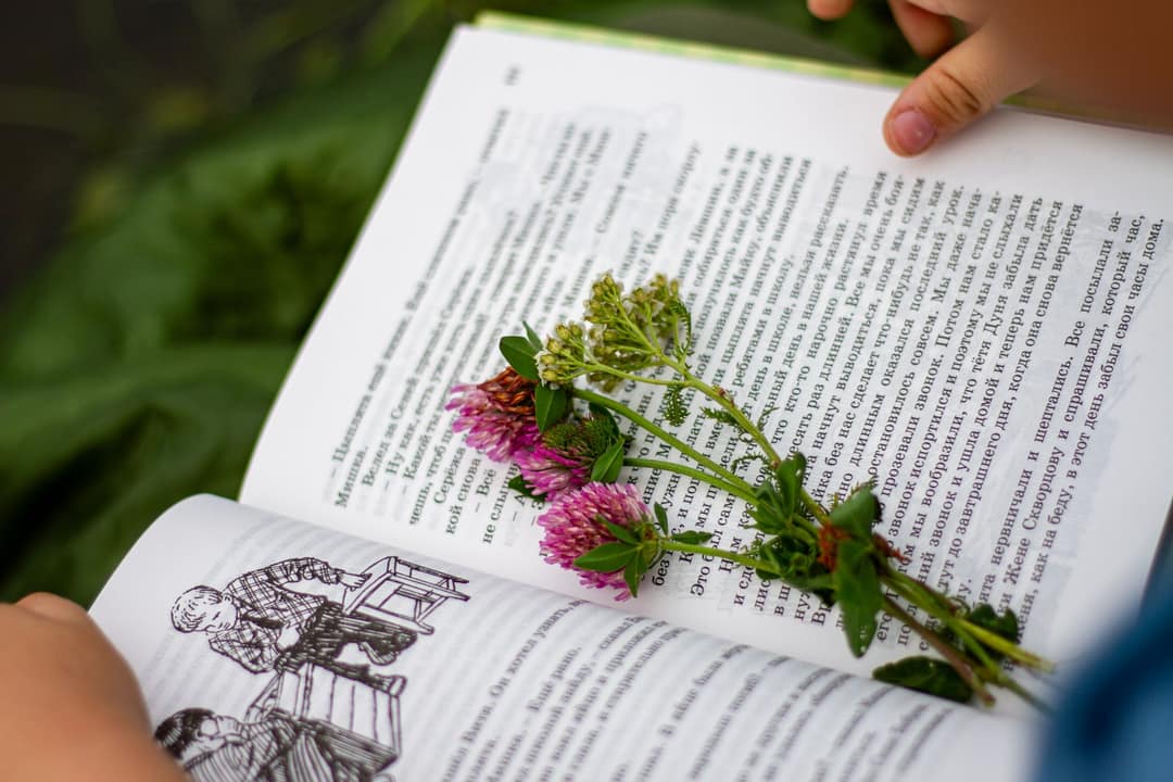 Chapter Books