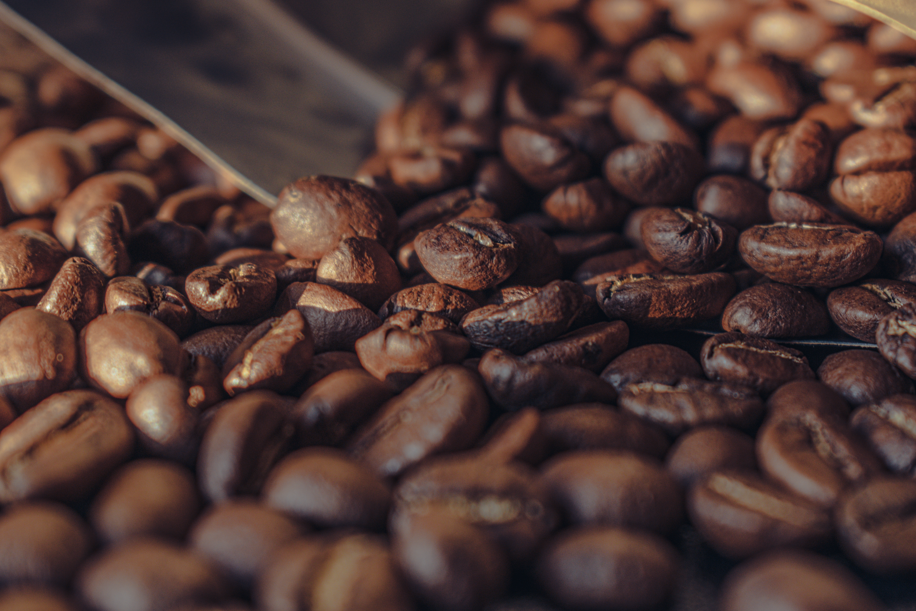 Midnight (Decaf)