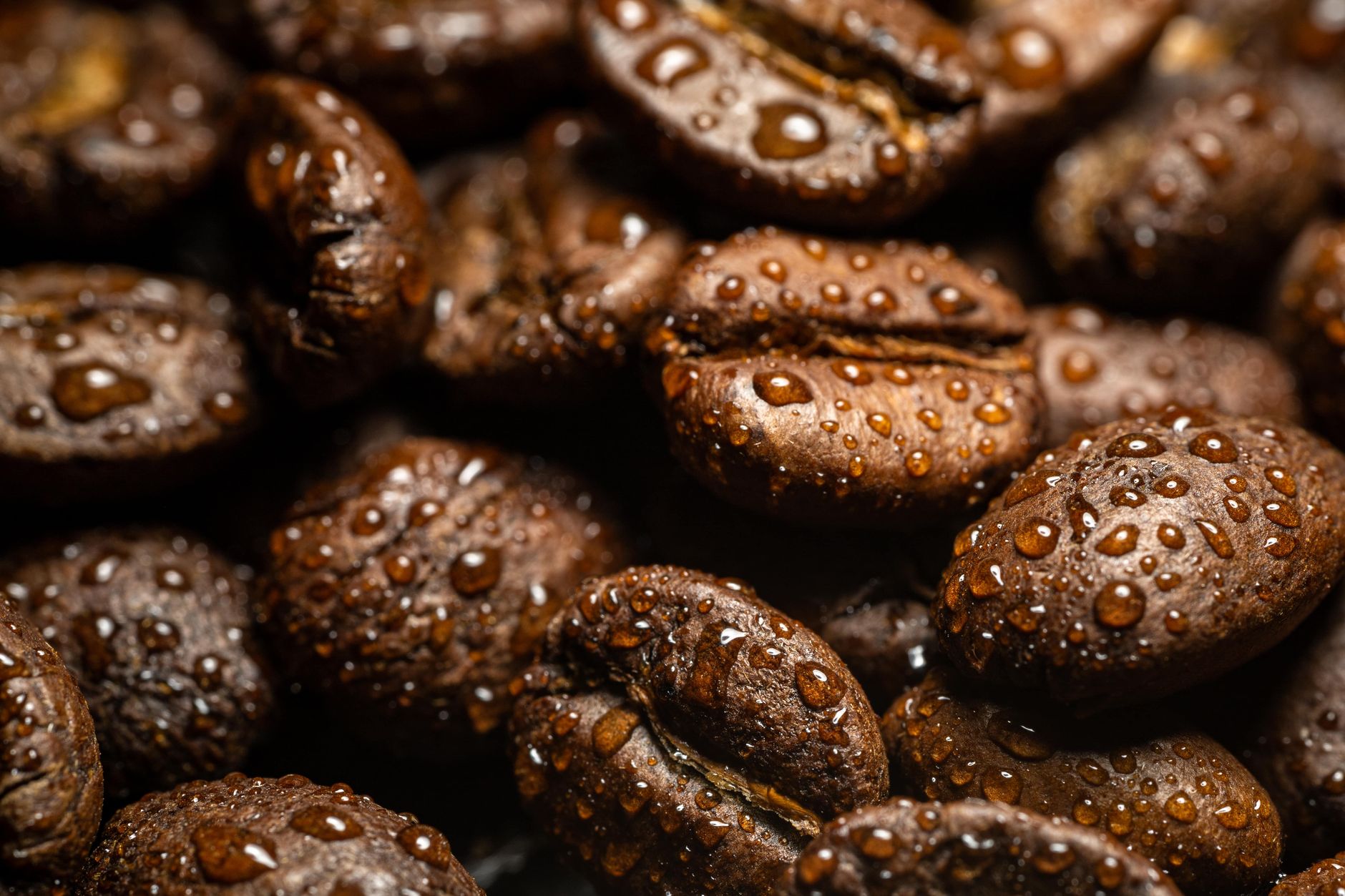 Yirgacheffe Light