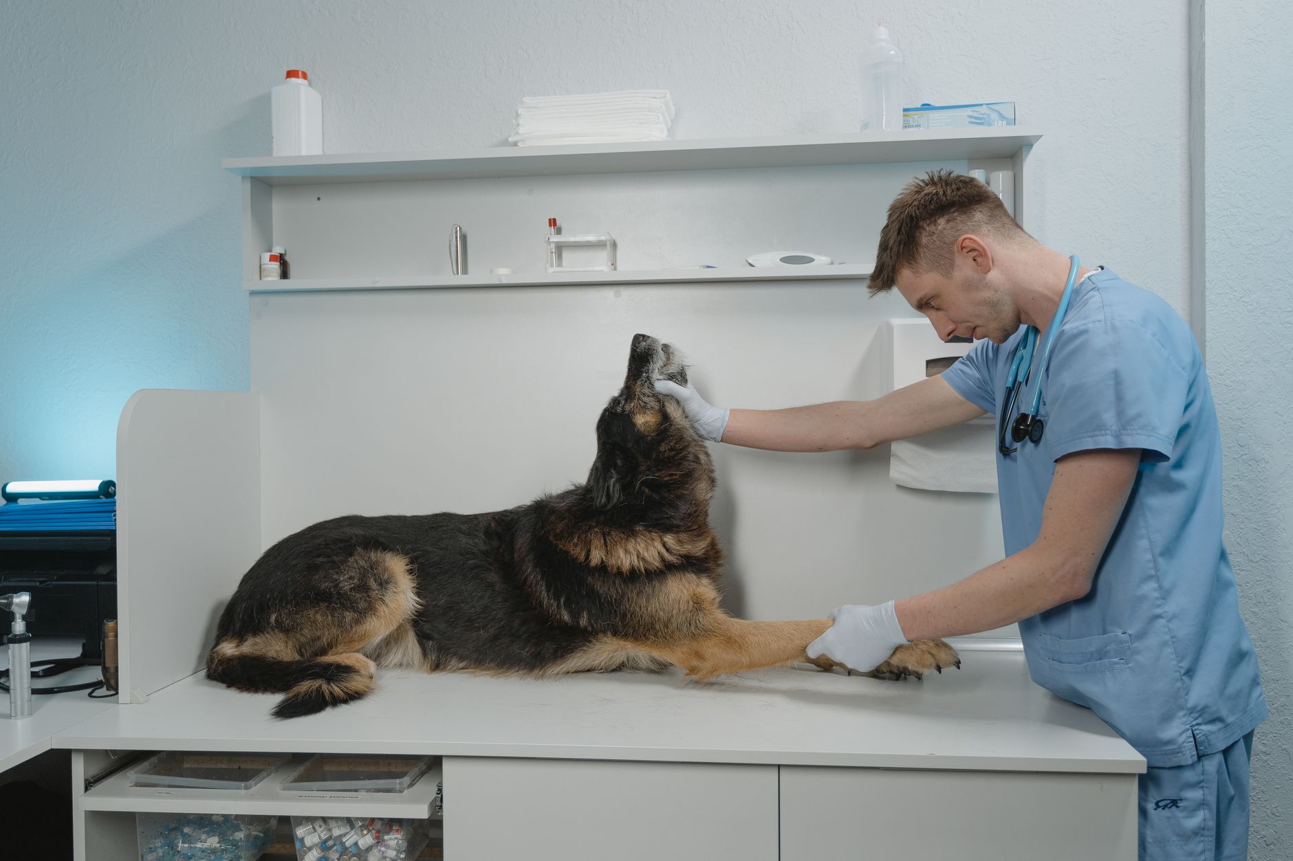The Tailside Veterinary exam room