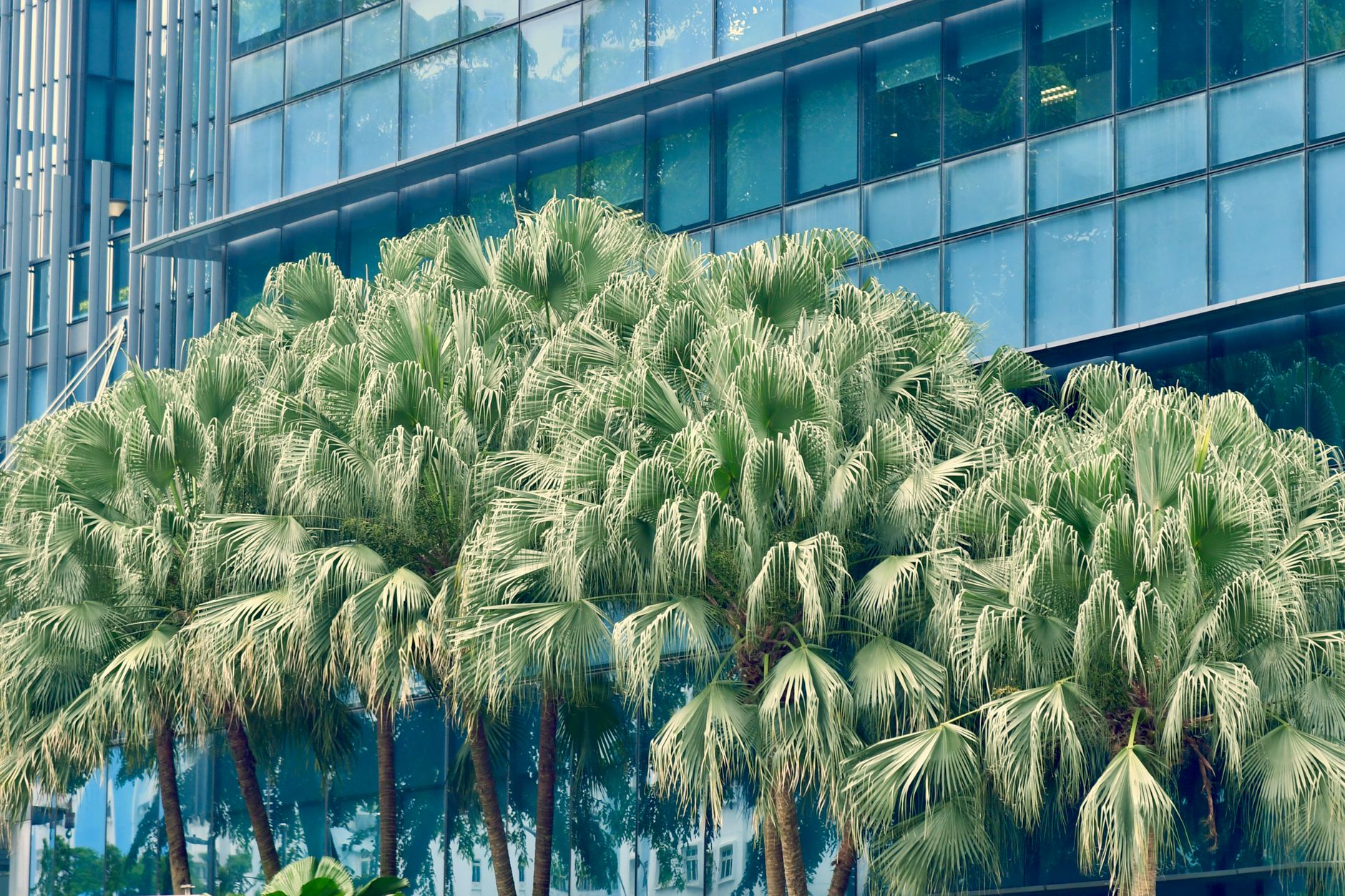 What SGX climate reporting really asks of you