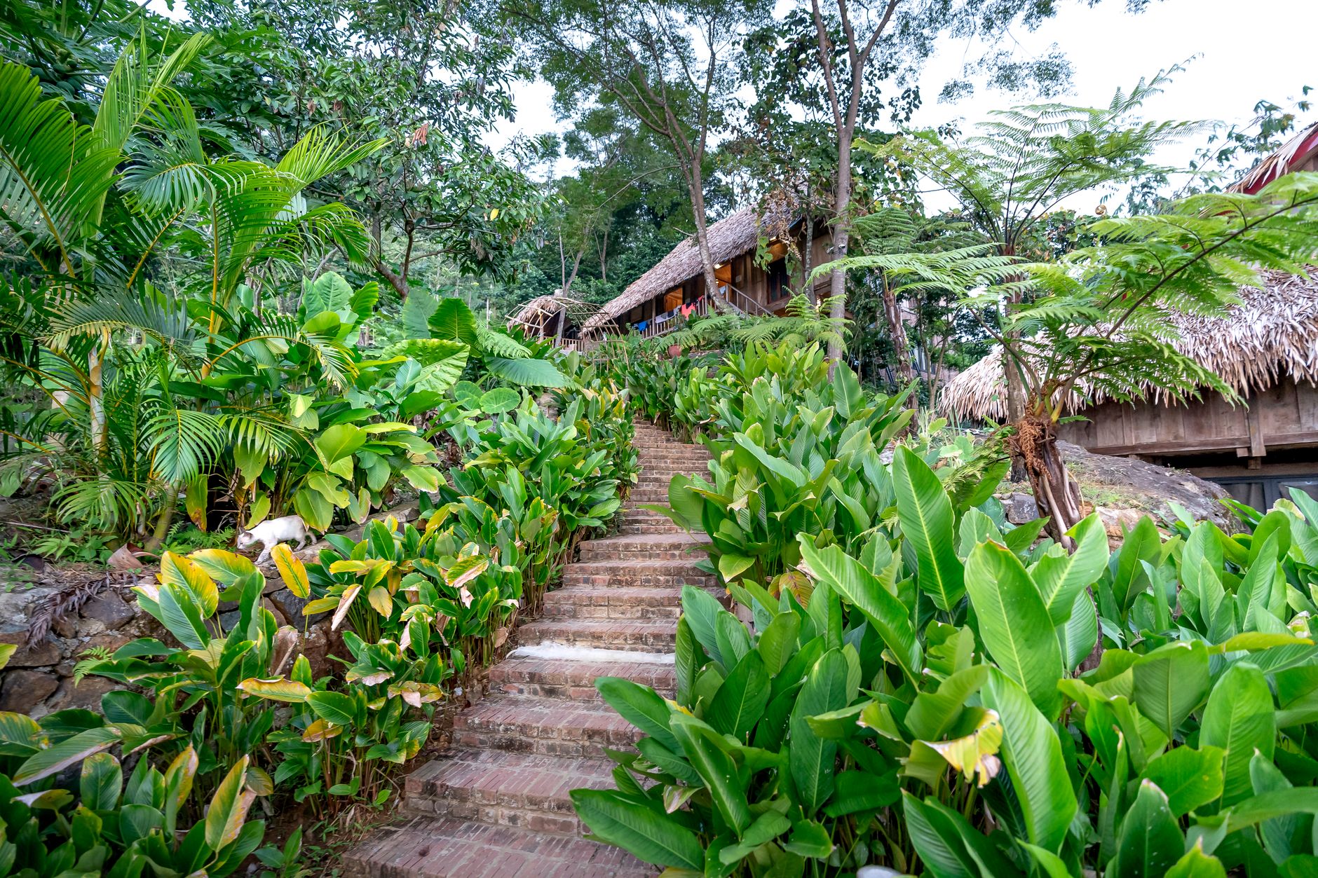 Canopy House, Desaru Coast