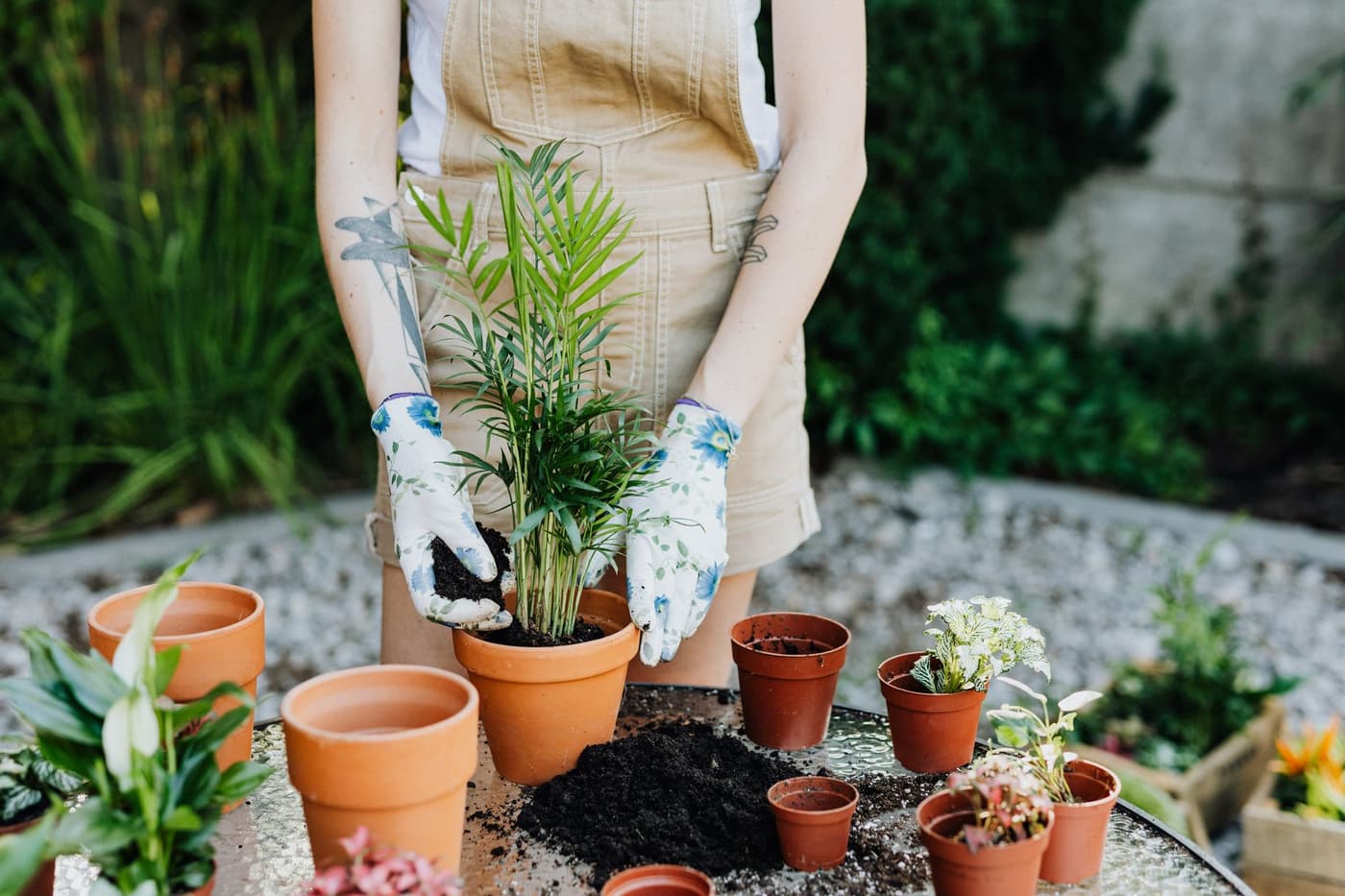 Planting for the monsoon, not the moodboard