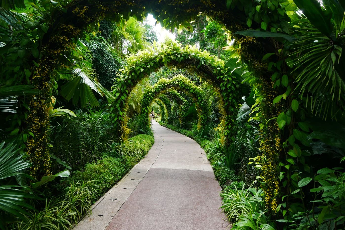 A lush designed garden walkway