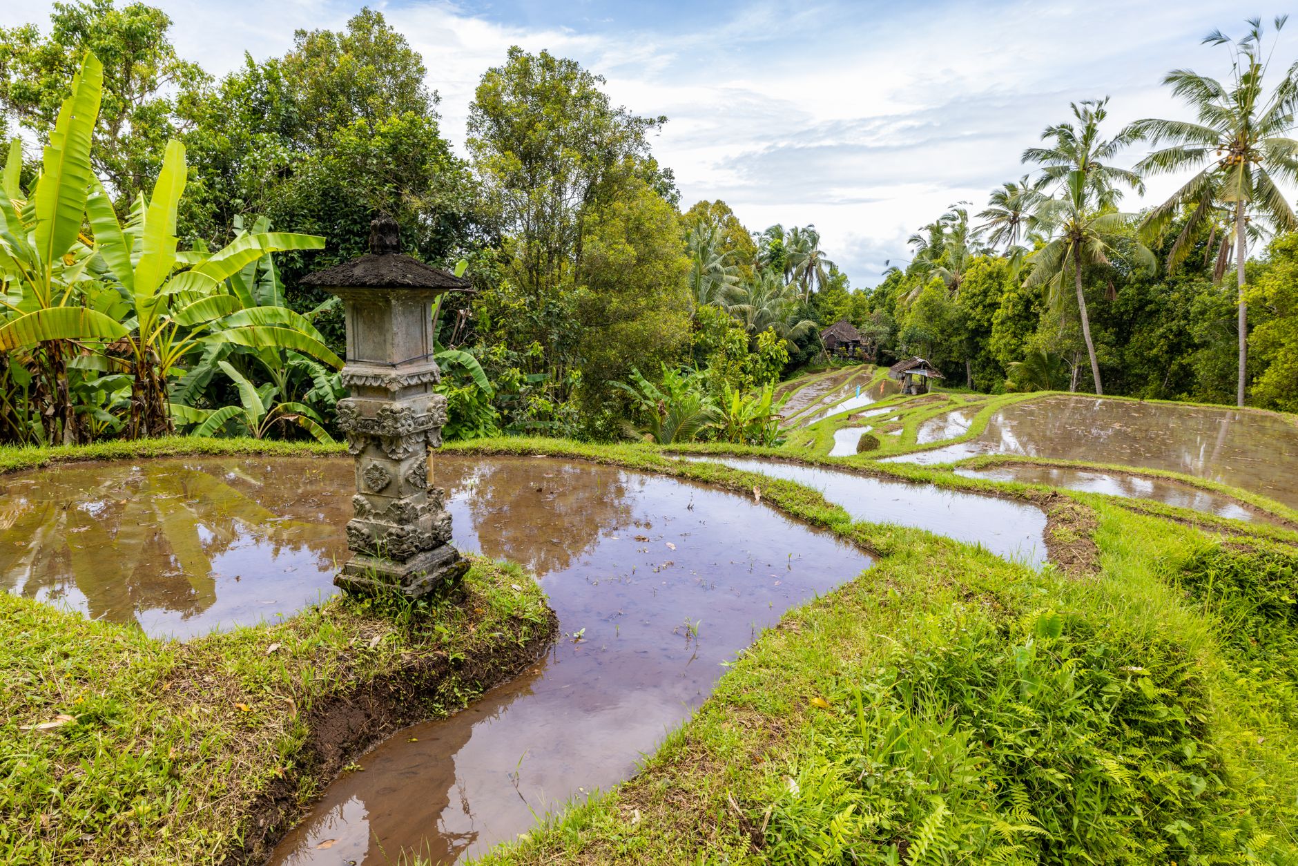 5D4N Bali Free & Easy