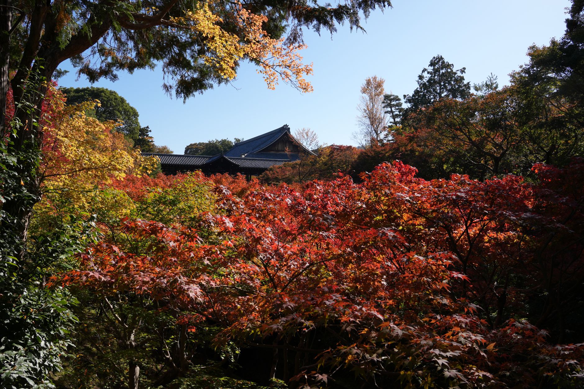 8D6N Highlights of Hokkaido