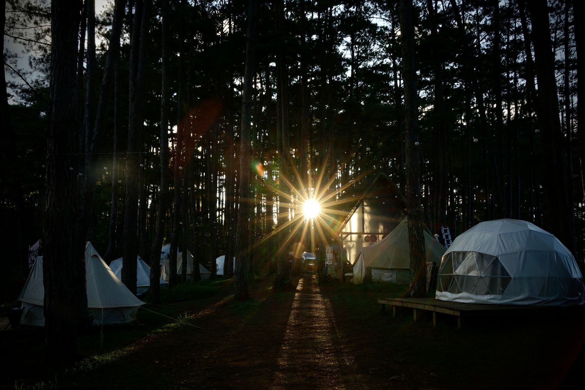 The Wildnest camp set among the trees
