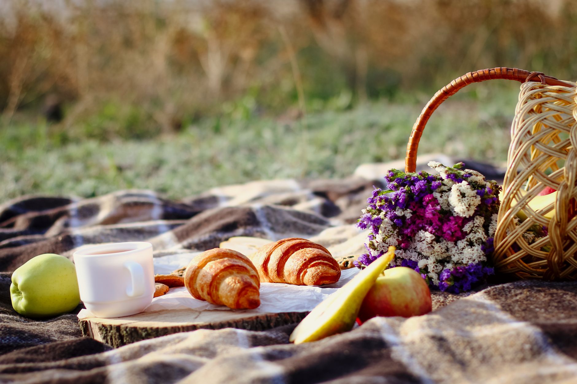 Breakfast laid out in the open air