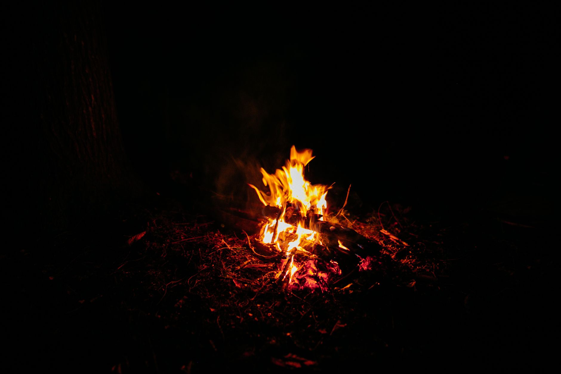 A campfire at night at Wildnest
