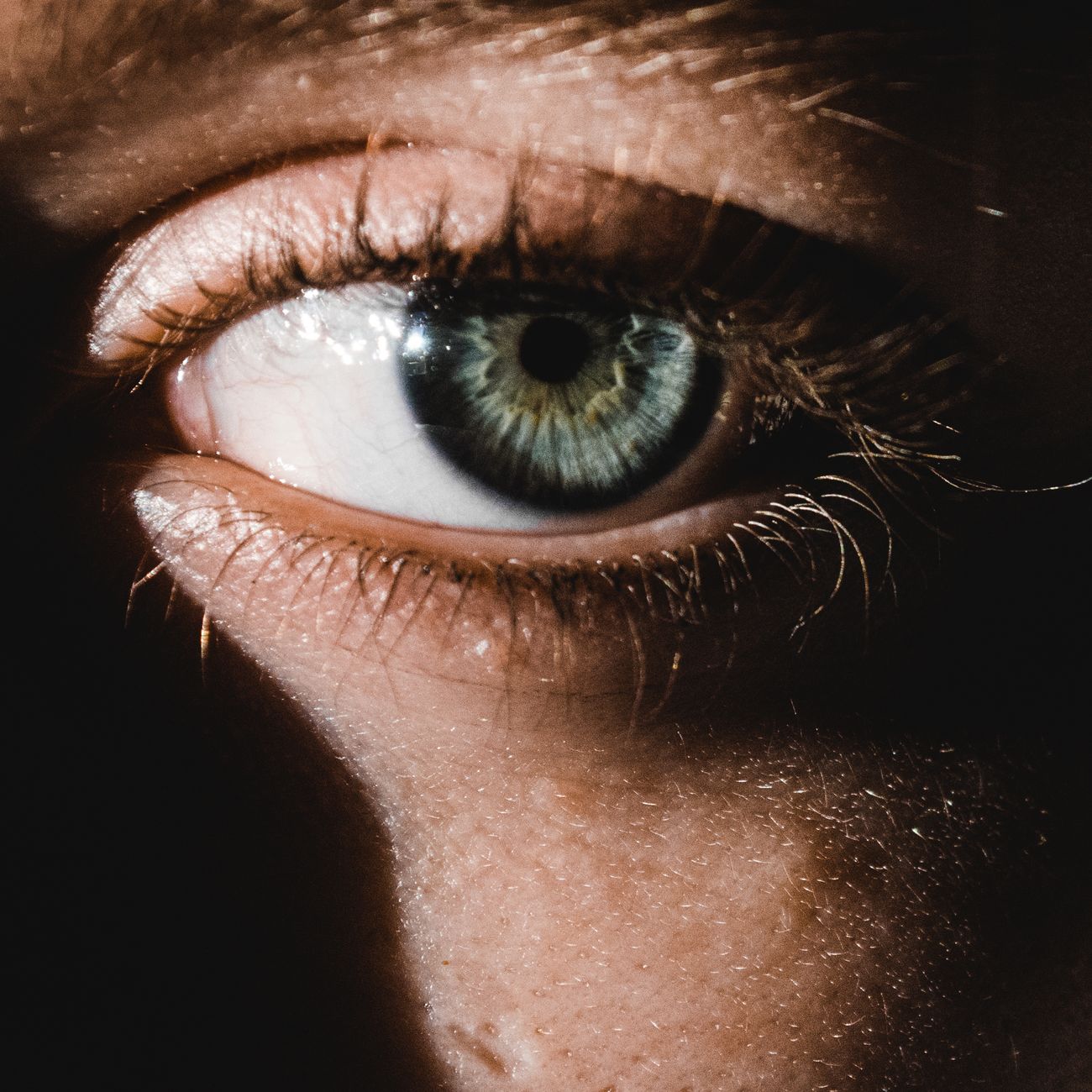 Lifted & tinted — Lash Lift & Tint at Wisp Lash Studio Singapore