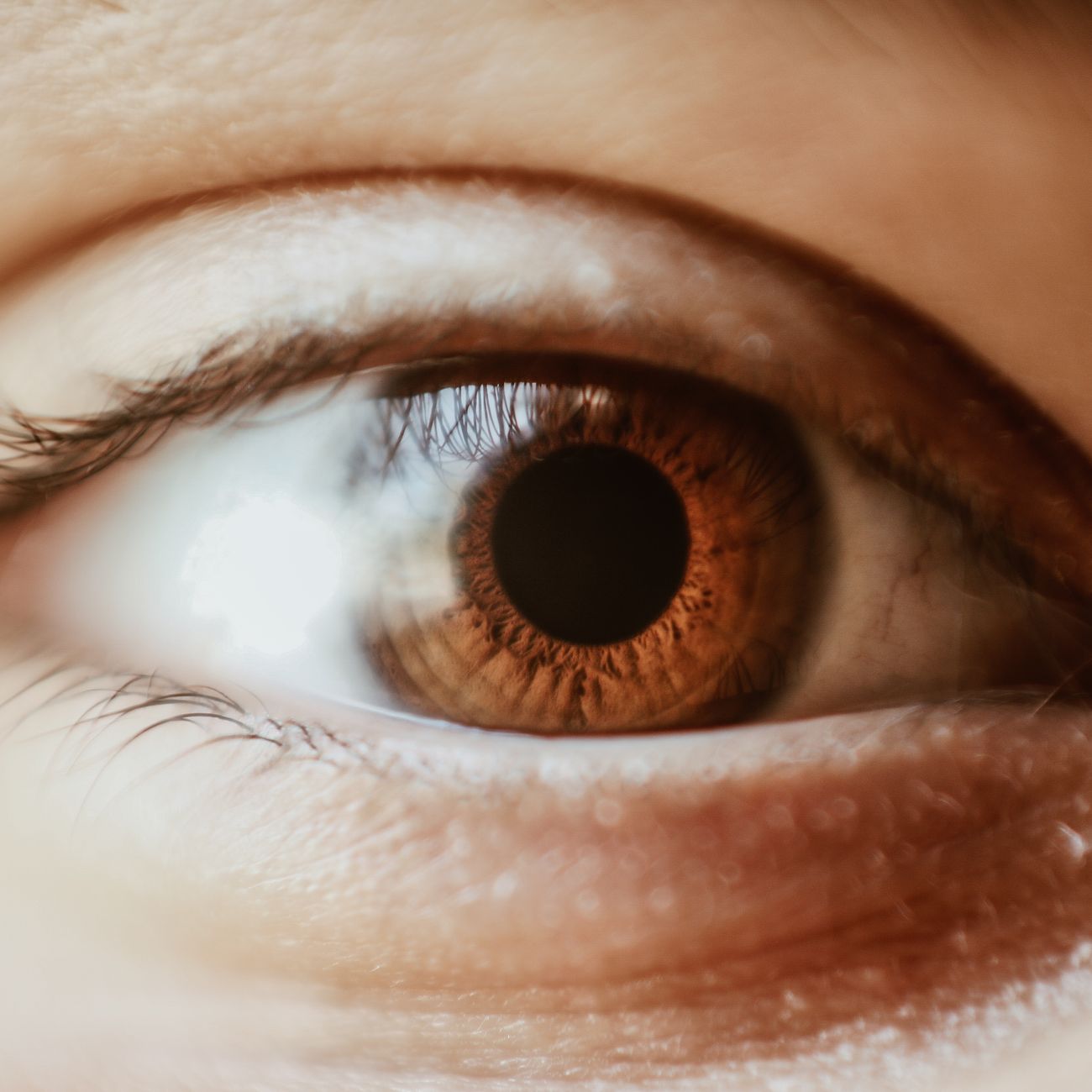 Soft lash tint — Lash Tint at Wisp Lash Studio Singapore