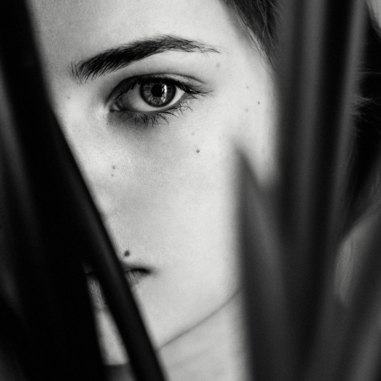 Groomed brow shape — Brow Shape & Style at Wisp Lash Studio Singapore