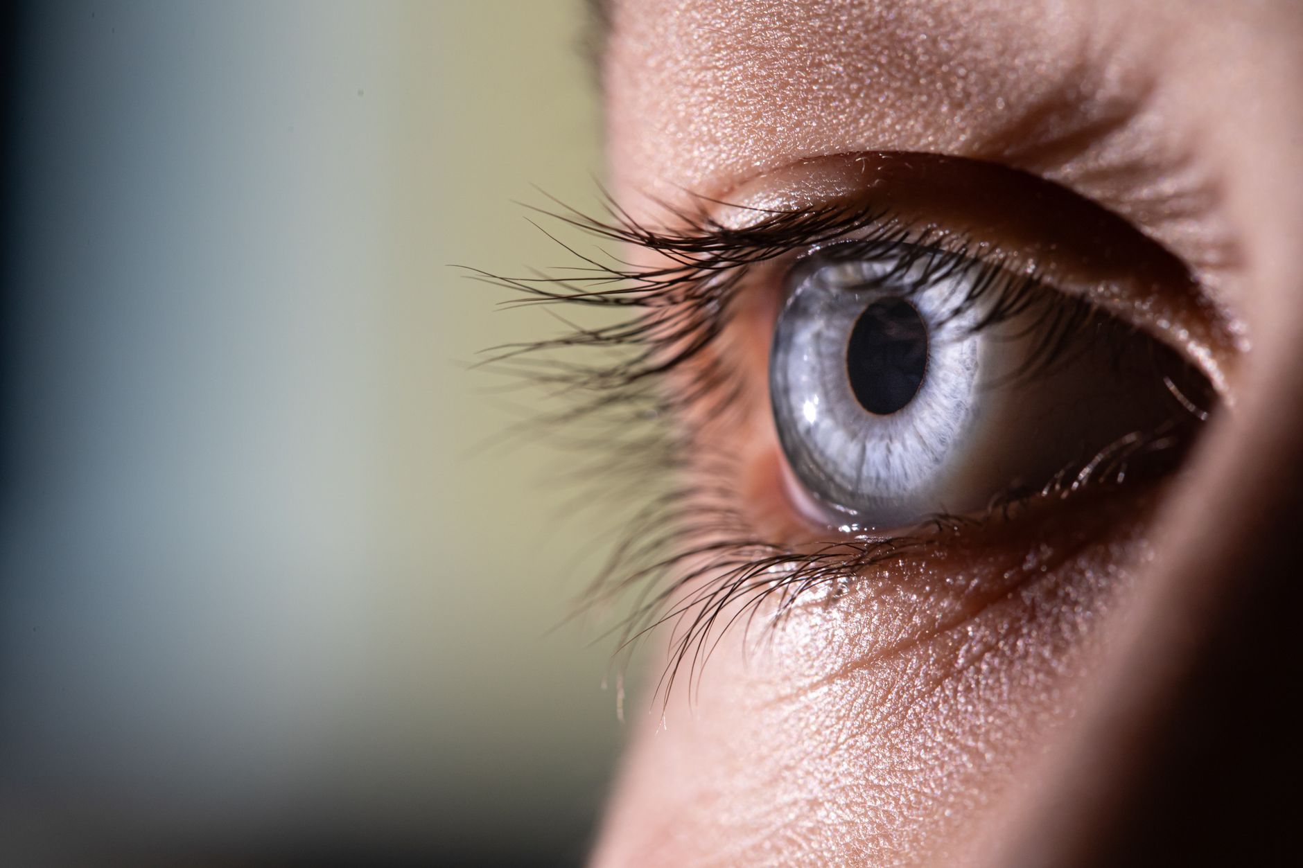 Signature Lash Lift at Wisp Lash Studio Singapore