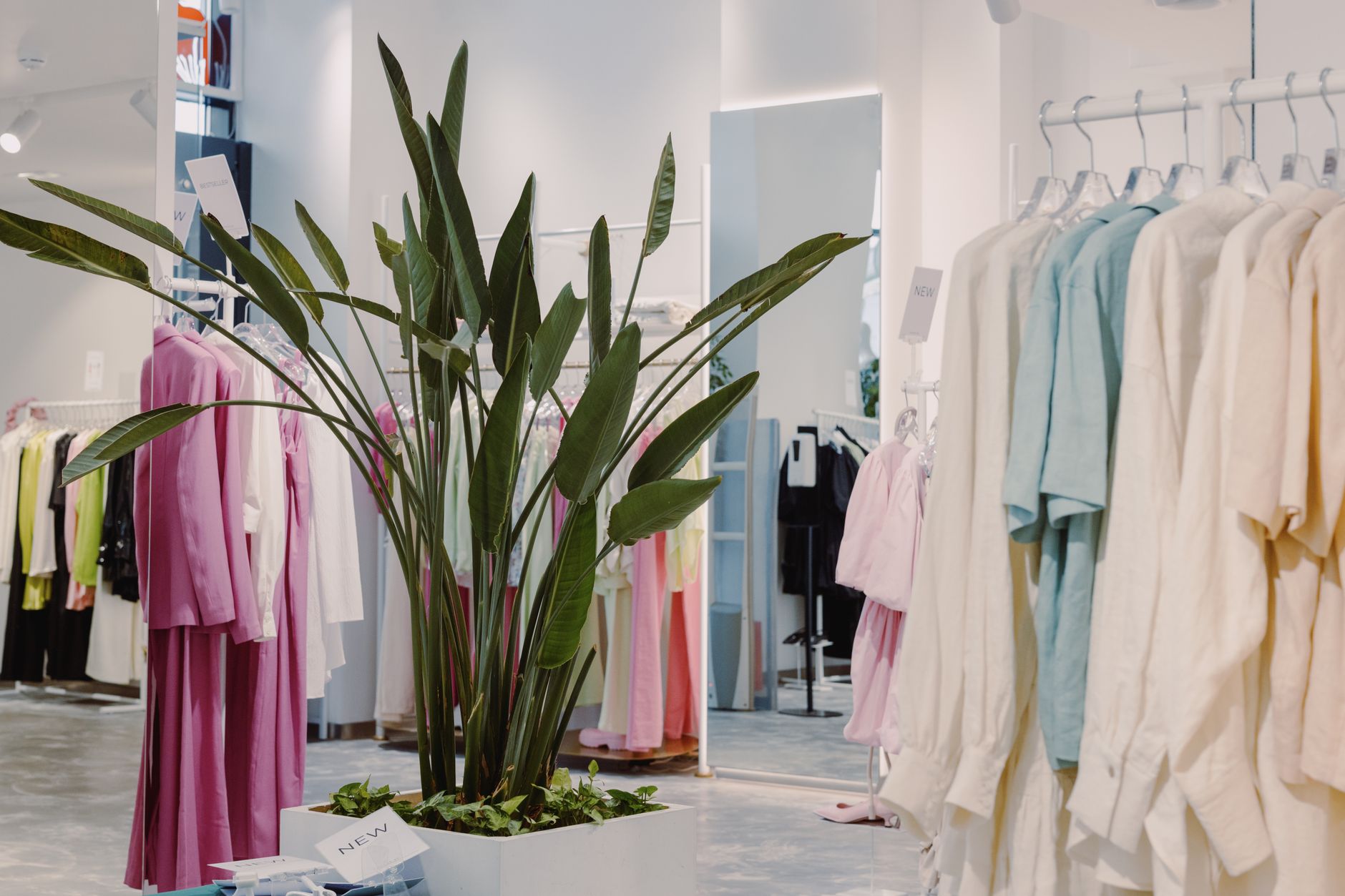 Sorelle womenswear boutique interior