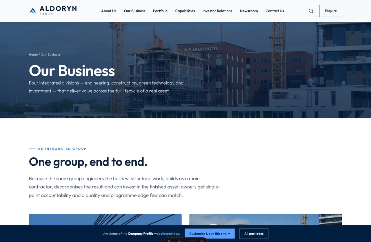 Our Business overview page listing four divisions on a Singapore corporate website