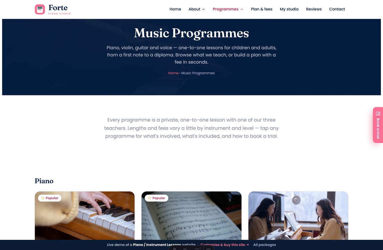Programmes page on the Forte demo — piano, violin, guitar and voice lessons as cards grouped by instrument with from-fees