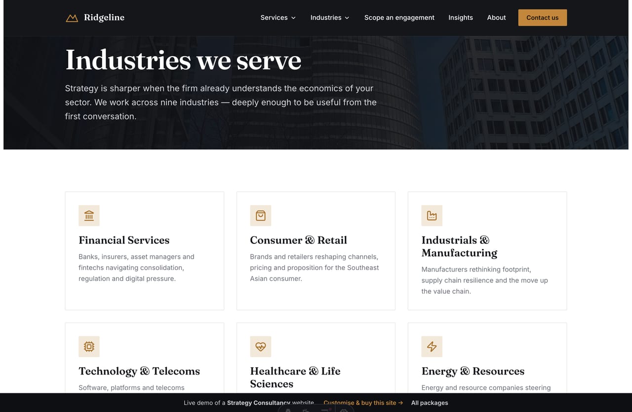 Industries-served grid on a strategy consultancy corporate website
