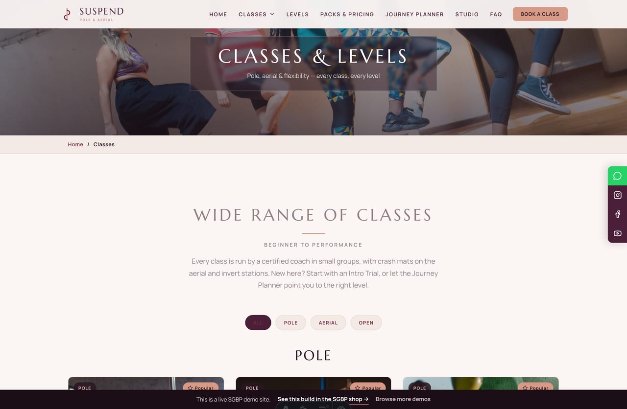 Classes page on the Suspend demo — pole, aerial hoop, aerial silks and flexibility as LEVEL cards grouped by category